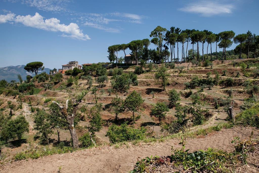 Agriturismo La Molara Sessa Aurunca Zewnętrze zdjęcie