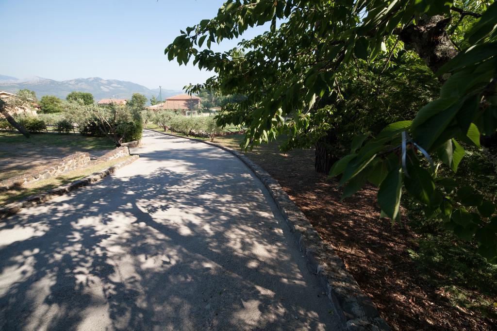 Agriturismo La Molara Sessa Aurunca Zewnętrze zdjęcie